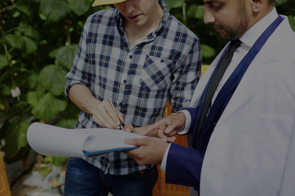 Licensed Property Inspections